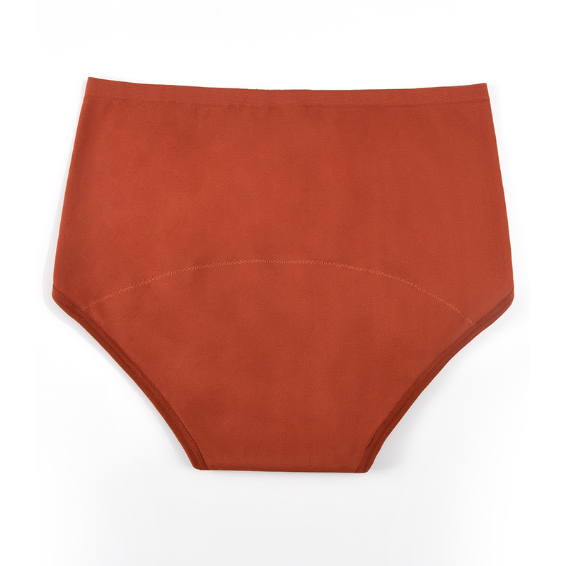 Women’s Seamless Period Pantie - Period Panty Absorbent のレビューと価格