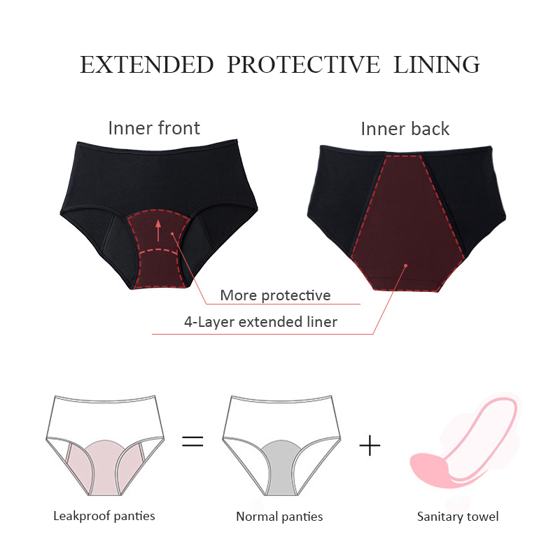 Heavy Flow Menstrual Panties 4 - Period Panty Absorbent のレビューと価格