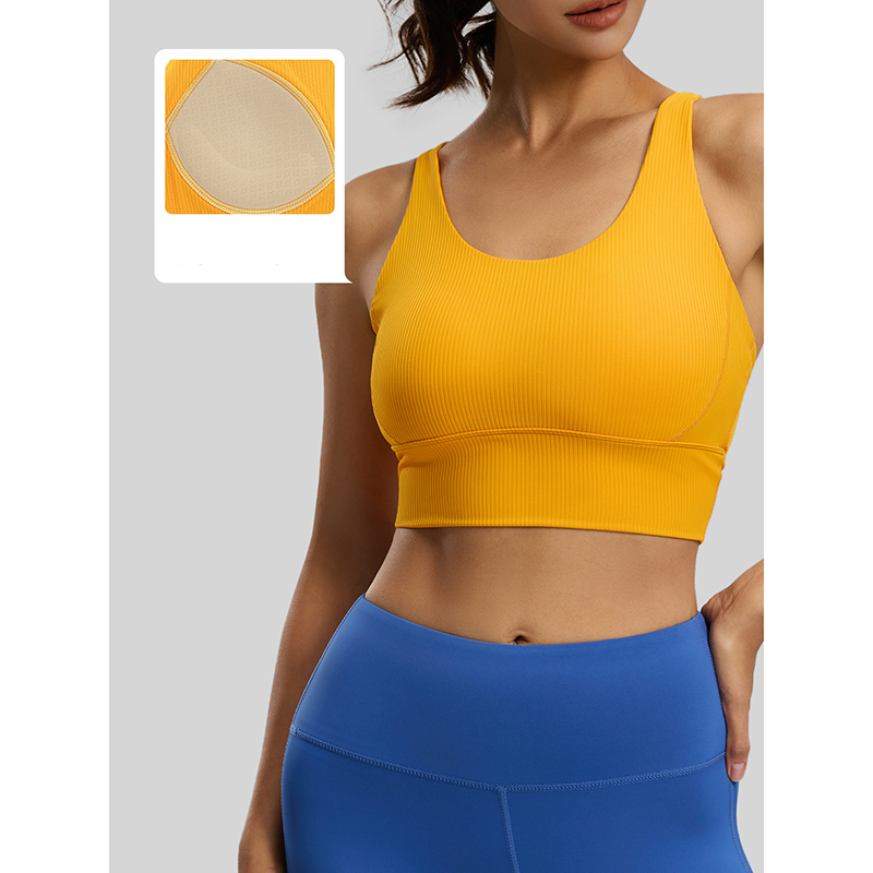 2026 New Women Ribbed High Imp - Sports Bra High Impact のレビューと価格