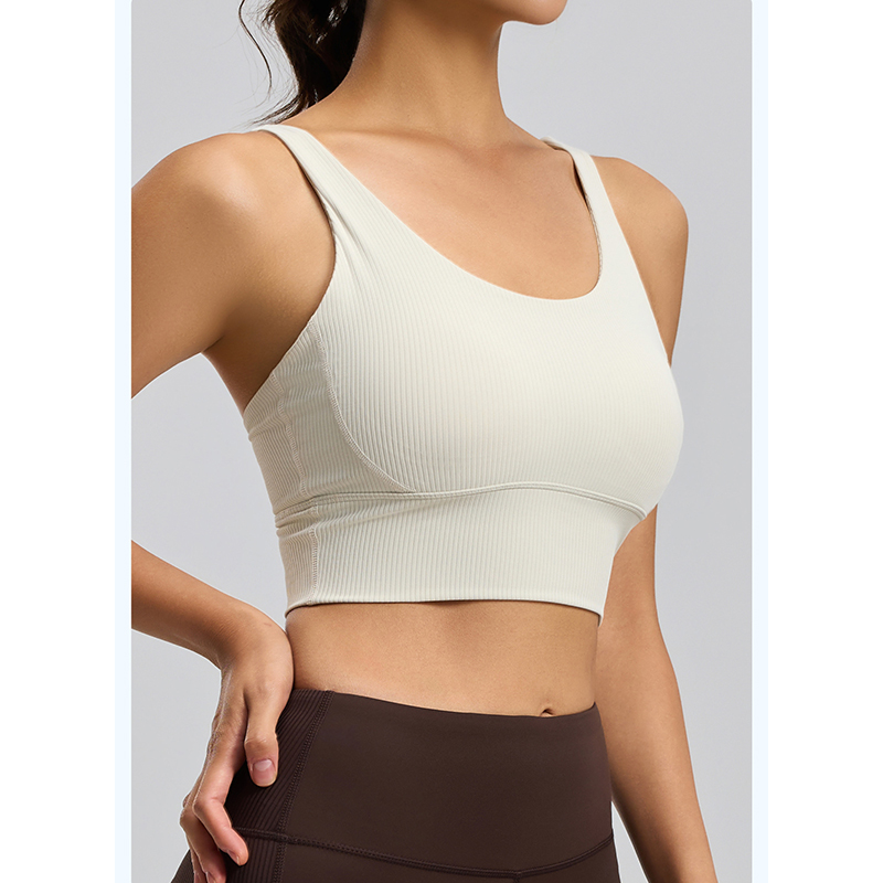 2026 New Women Ribbed High Imp - Sports Bra High Impact のレビューと価格